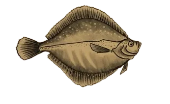 Sole reveuse par Leflopla